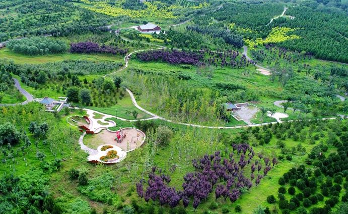 防患未“燃”，房山筑牢森林“防火墻”！