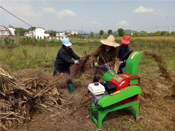 狠抓秸稈禁燒，我們這么干！