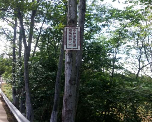 如何做好夏季森林防火工作？洛帶有這四大妙招