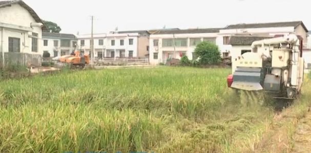 秸稈焚燒，NO！這個(gè)神器了解一下，湘鄉(xiāng)安排180萬資金全面推廣