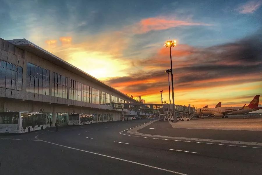 鳥(niǎo)是人類的益友，然而對(duì)機(jī)場(chǎng)而言......