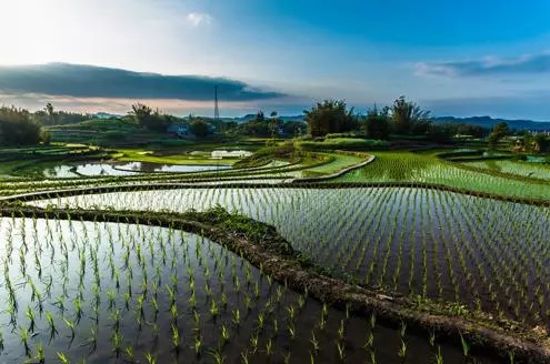 扮靚綠水青山，農(nóng)村分散式污水處理遠程監(jiān)控系統(tǒng)助力污水處理信息化進程