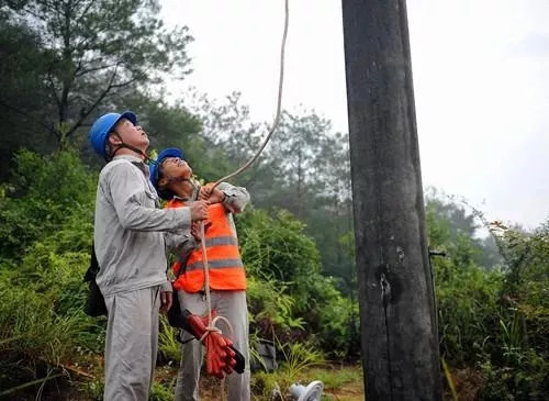 白露已過，秋天來襲，不怕不怕，有我在