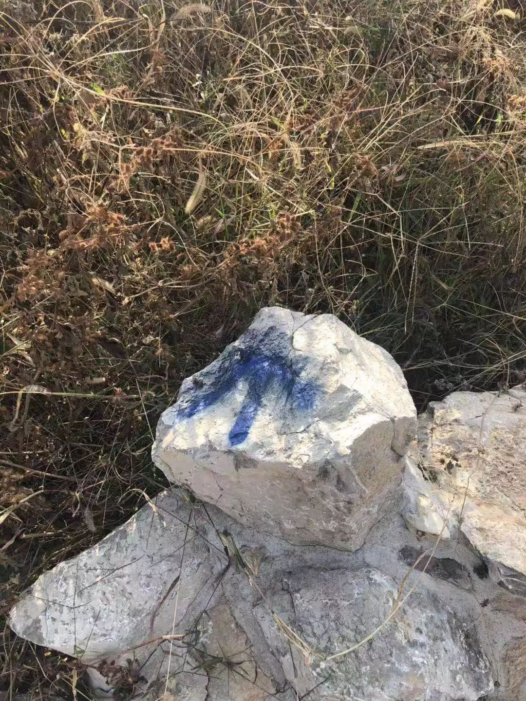 七賢街道完成森林防火卡口監(jiān)控設(shè)備安裝、選址工作