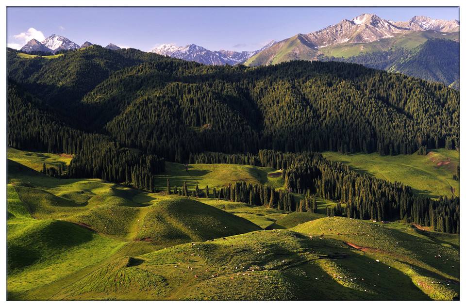 光電轉(zhuǎn)臺、無人機······環(huán)境檢測領(lǐng)域里的“黑科技”