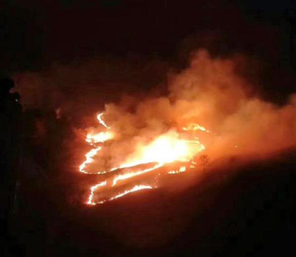 四川甘孜藏族自治州境內發(fā)生較大面積森林火災，消防撲救