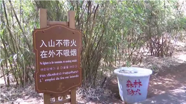 贊！雞足山景區(qū)連續(xù)35年無森林火災(zāi)，因為他們...
