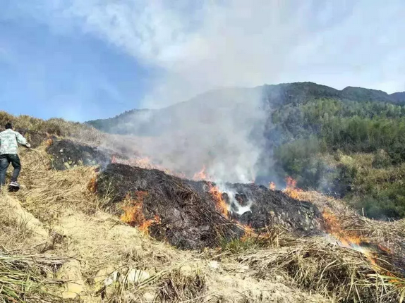 有了天上這幾只“大眼睛”，焚燒秸稈行為無所遁逃！