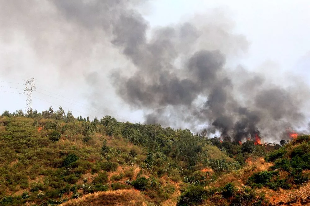 當(dāng)大風(fēng)遇上山火，看電網(wǎng)人亮“神器”出絕招！