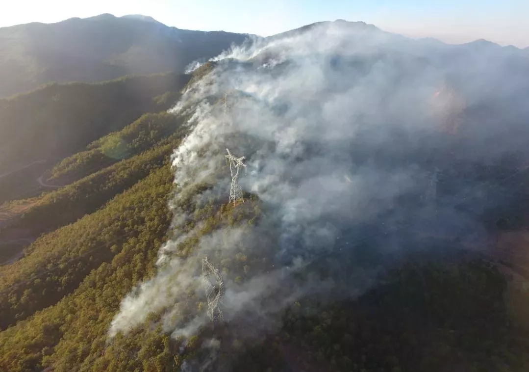 山火來勢洶洶怎么防怎么破？