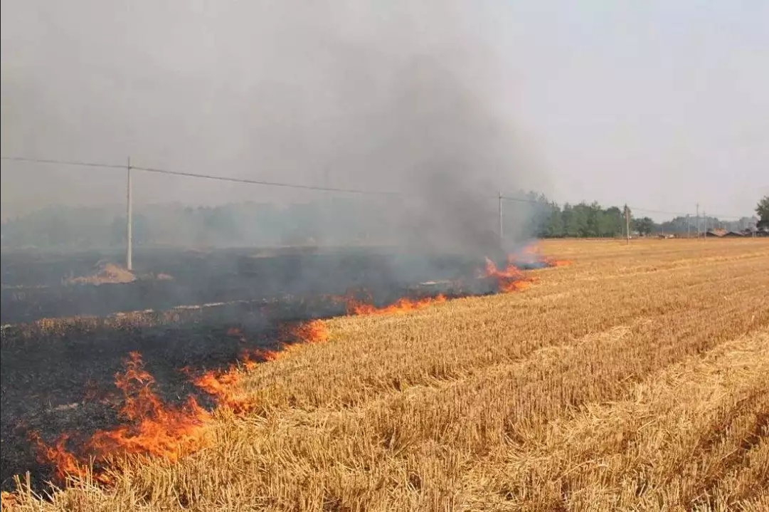 全方位、全覆蓋、無(wú)縫隙、實(shí)時(shí)監(jiān)控！夏收的秸稈你別燒！