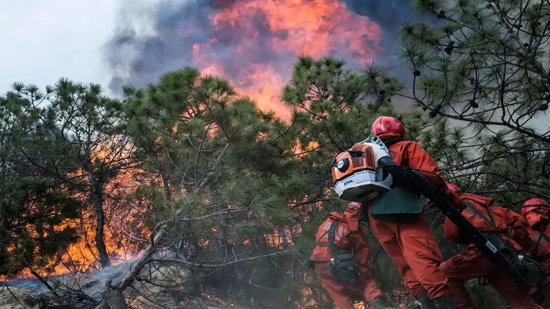 當(dāng)心“火星”變“火?！?，森林火災(zāi)防控需要智慧化硬科技