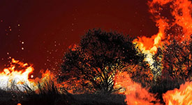 森林眼監(jiān)測系統(tǒng)和森林防火地理信息系統(tǒng)在森林火災(zāi)預(yù)警監(jiān)測應(yīng)用中的影響