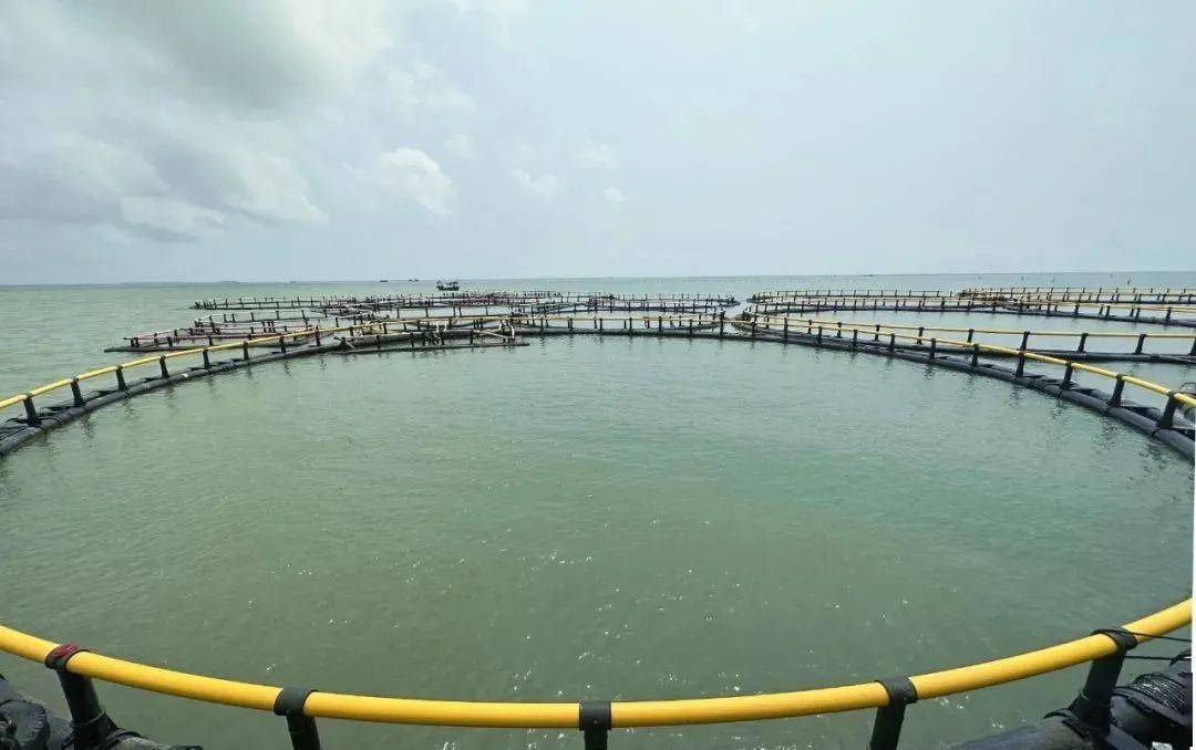 海域牧場(chǎng)實(shí)時(shí)防盜、防污染動(dòng)態(tài)監(jiān)視監(jiān)測(cè)系統(tǒng)解決方案