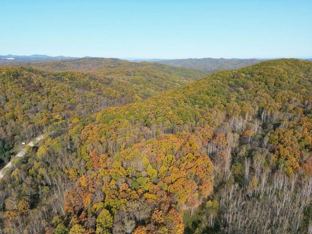 針對40000畝森林，如何選擇森林防火遠距離監(jiān)控攝像機