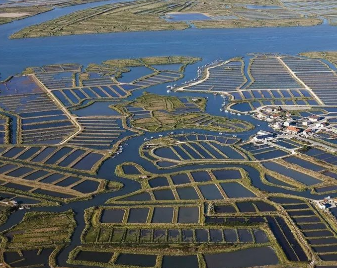 激光夜視球型轉(zhuǎn)臺攝像機