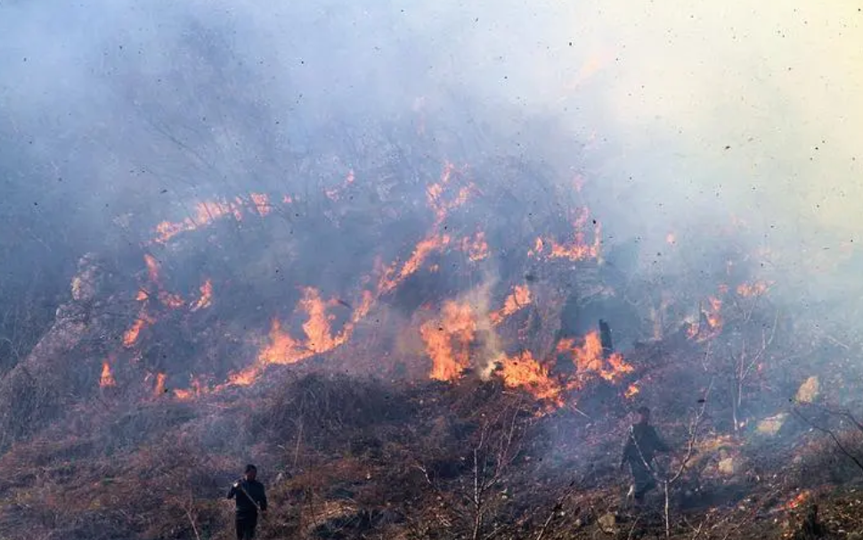 森火災(zāi)視頻監(jiān)控?cái)z像機(jī)