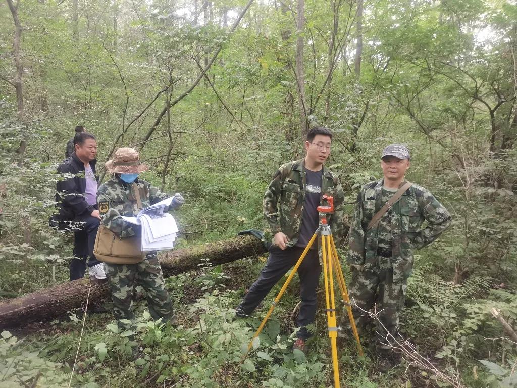 多維度解碼：森林防火監(jiān)控?cái)z像機(jī)的戰(zhàn)略價(jià)值與技術(shù)突破